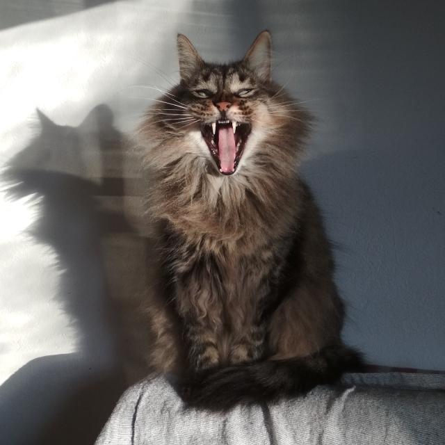 183540214_983650192172746_9179487710276729999_n